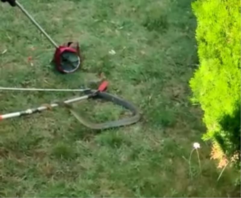 Bursa’da site bahçesinde 1.5 metre boyunda yılan yakalandı
