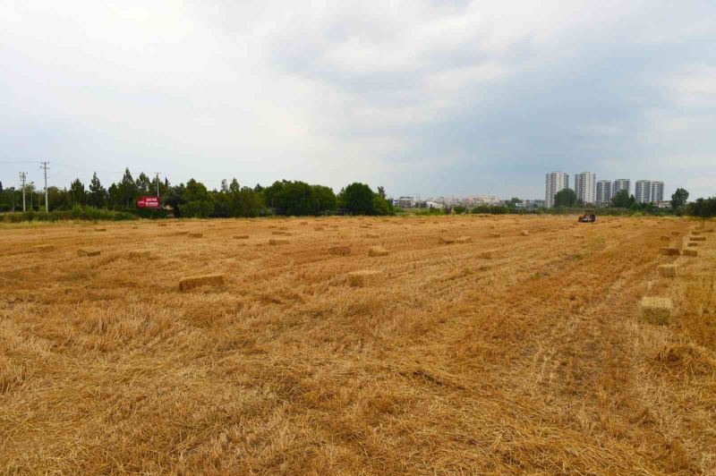 Tarsus Belediyesi, hayvan üreticilerine 22 ton saman balyası dağıtacak
