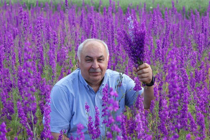 Sağanaklar doğayı mor’a boyadı
