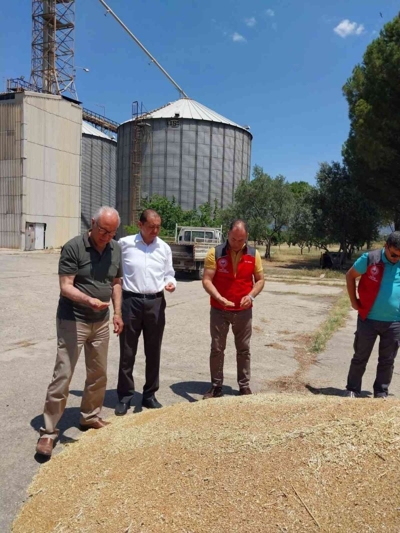 Milas TMO Hububat alımlarına başladı
