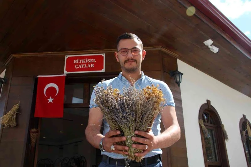 Bu kafeye stresli gelen rahatlayıp çıkıyor
