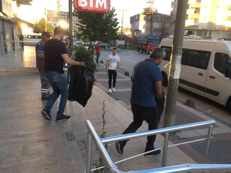 Dubleks daire değil uyuşturucu imalathanesi
