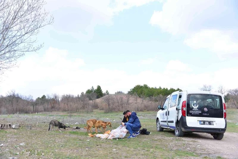 Kahramankazan Belediyesi can dostlarının mama ve sularını eksik etmiyor
