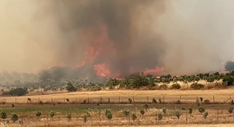 Foça’daki orman yangını yoğun müdahalelerle kontrol altına alındı
