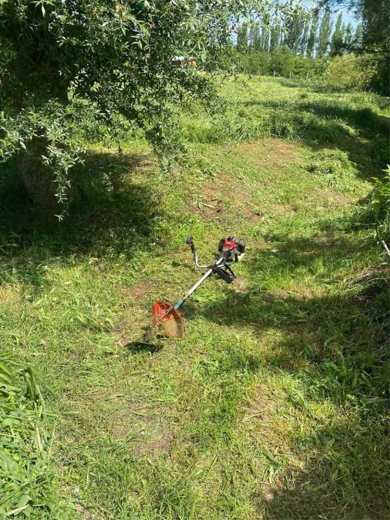 Makineyle ot biçen kadın gürültü nedeniyle komşusu tarafından vuruldu
