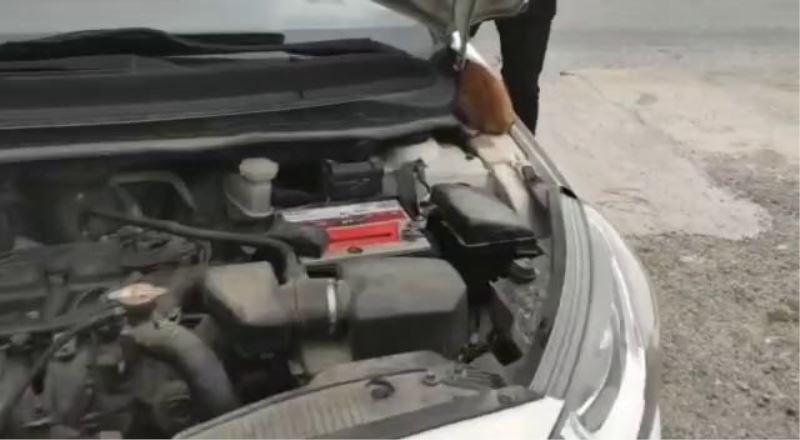 Afacan kediler aracın motor kısmına girdi, genci sınava polis yetiştirdi
