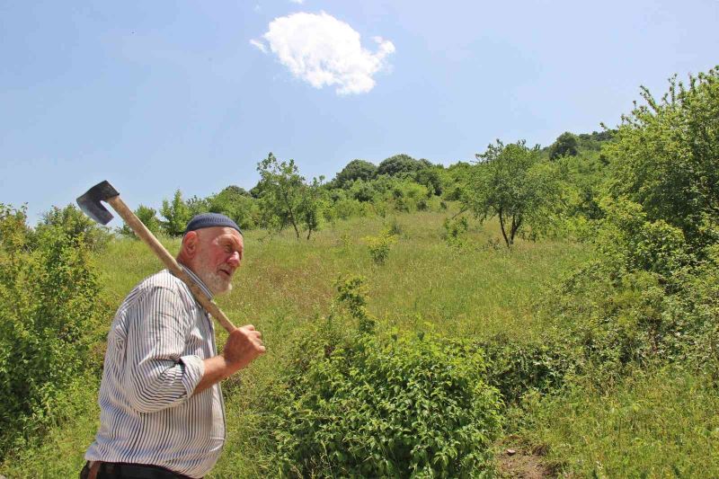 Yaşı 85, elinde baltasıyla ormanları bakın ne için geziyor
