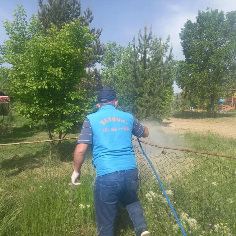 Bayburt Belediyesi ilaçlama mesaisine devam ediyor
