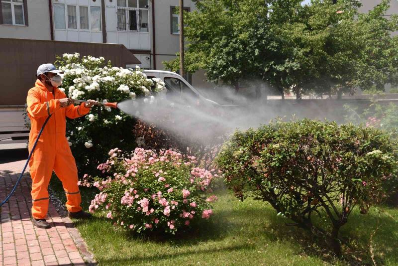 Selçuklu’da haşerelere karşı ilaçlama çalışmaları sürüyor
