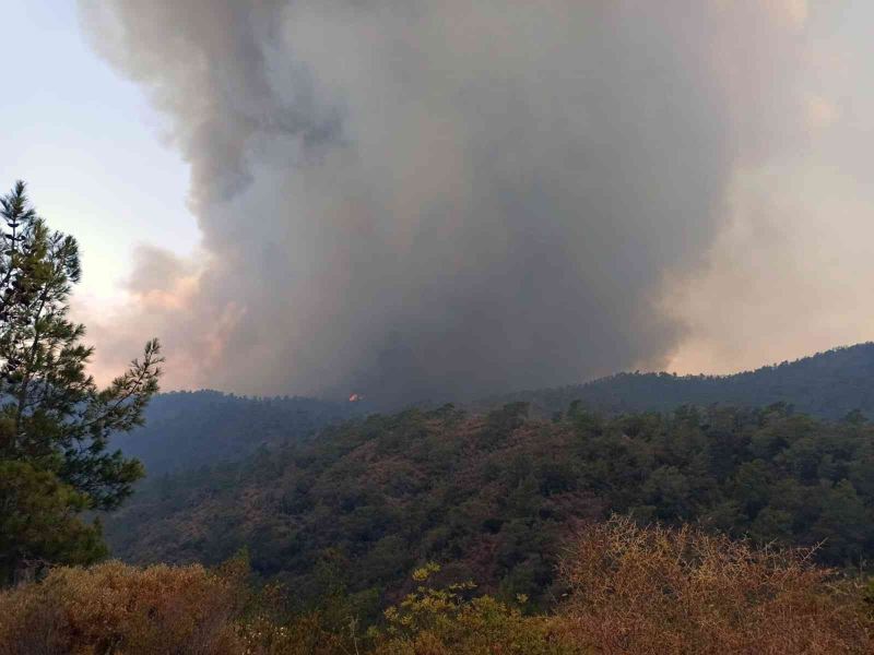 Yangın yönünü Okluk Koyu’na çevirdi
