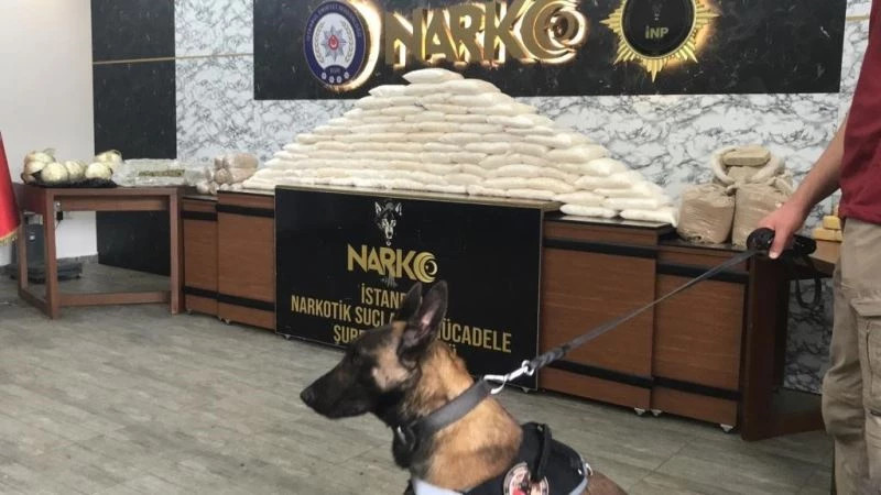 İstanbul’da uyuşturucu operasyonları: 176 kilo uyuşturucu ele geçirildi
