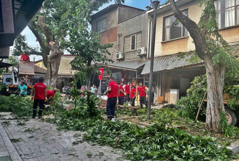 Akhisar’da fırtına etkili oldu, ağaç devrildi, çatılar uçtu
