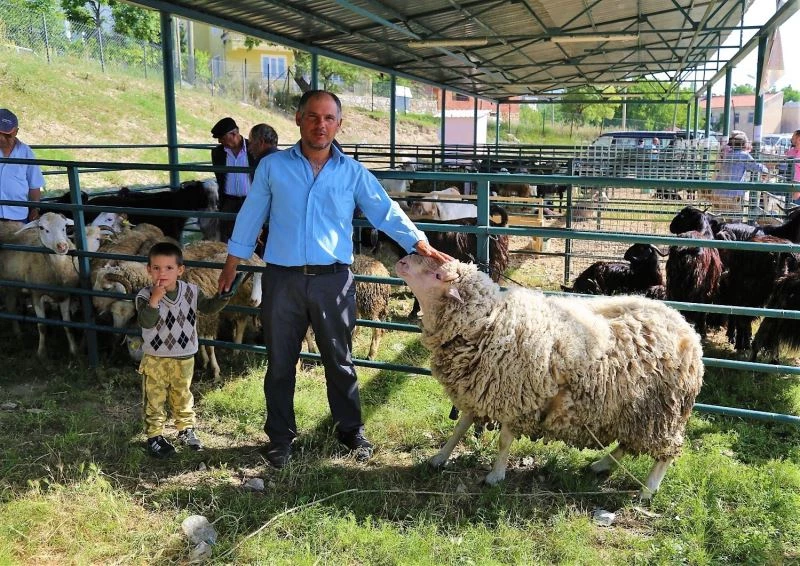 Yaklaşan Kurban Bayramı besicileri umutlandırdı
