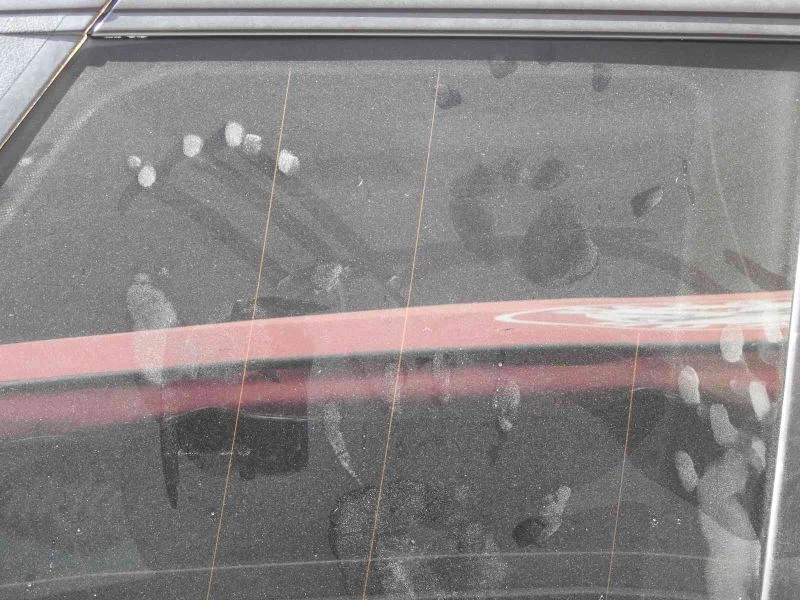 Spil Dağı Milli Parkı’nda ilk kez ayı görüldü
