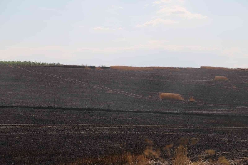 Hayrabolu’da 75 dönüm buğday ekili alan kül oldu
