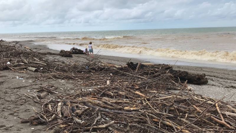 Aşırı yağışlarla gelen ağaç ve çöpler Akçakoca’da sahile vurdu
