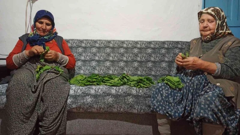 Salamura için yapraklar demetlenmeye başlandı
