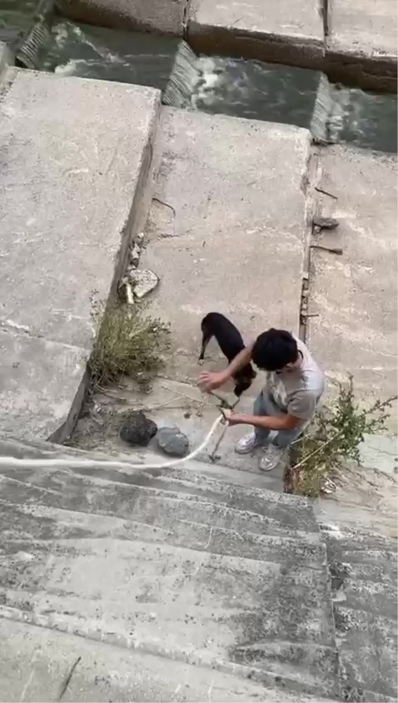 Sultanbeyli’de dere yatağına düşen köpeği gençler halatla kurtardı
