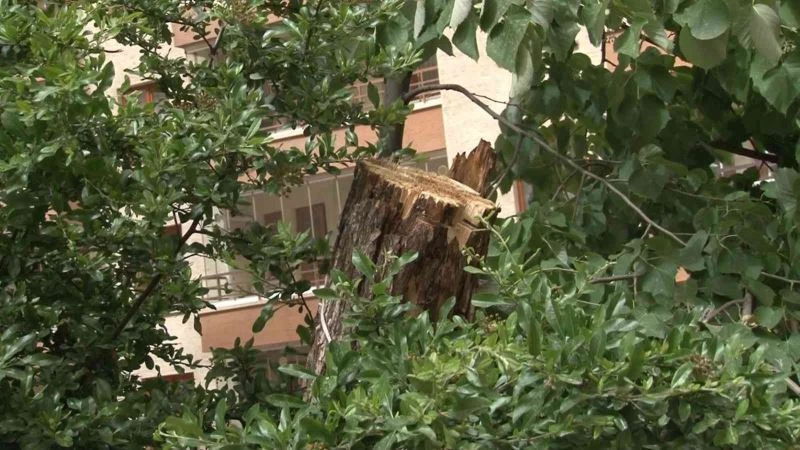 Ankara’da gece yaşanan fırtınanın izleri sabah ortaya çıktı
