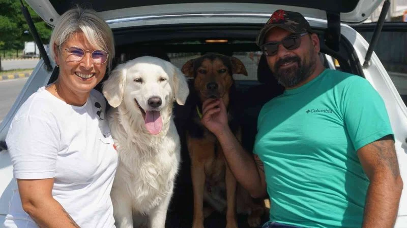 Yaz tatili ile birlikte Kapıkule’den gurbetçi girişleri başladı
