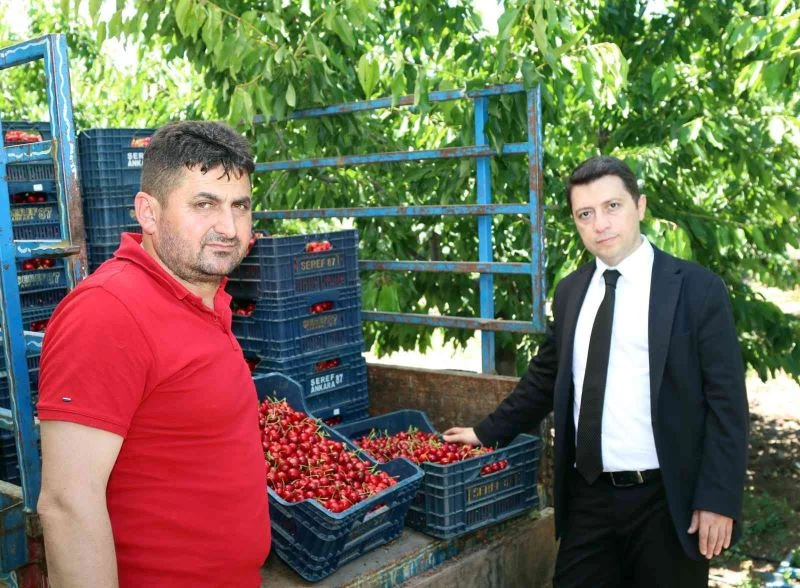 Çamlıbel Elektrik üreticilerin yanında
