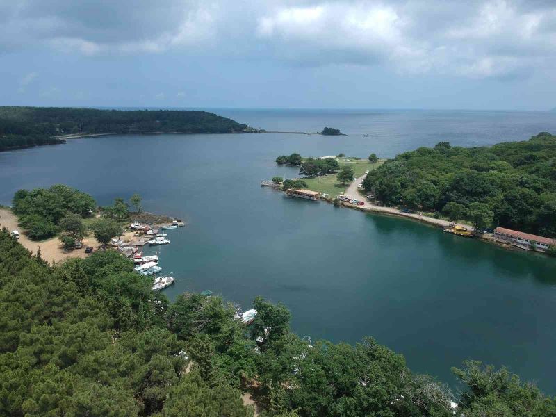 Eşsiz doğasıyla Hamsilos Koyu görenleri hayran bırakıyor
