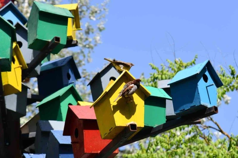 Değirmen Boğazı kuşlara yuva oldu
