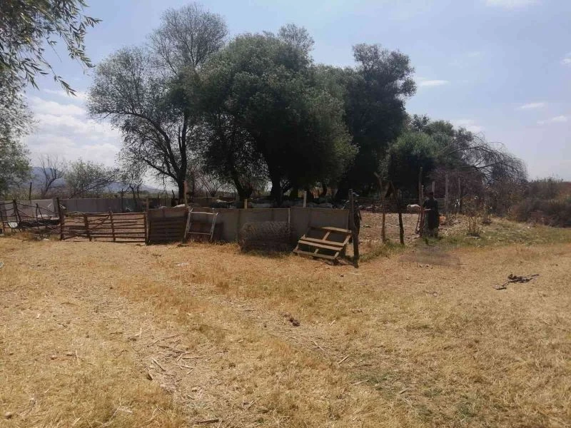 Koruma alanındaki kaçak ağıllar yıktırıldı
