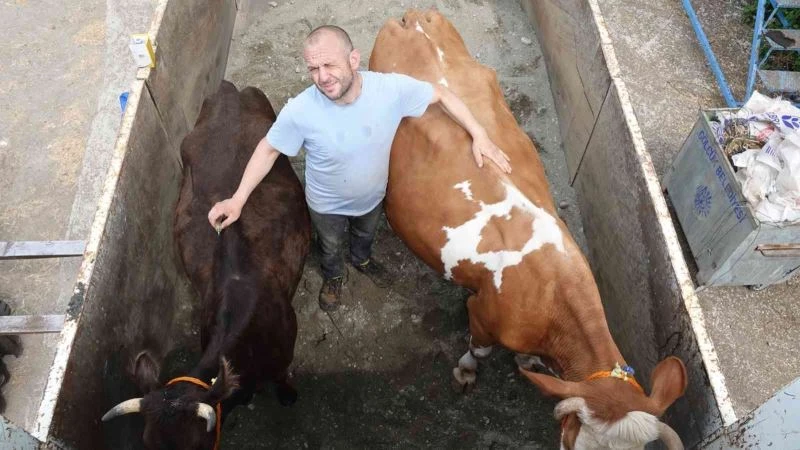 Hayvanlarını kaybeden Afyonkarahisarlı besiciye Kocaeli’den yardım eli
