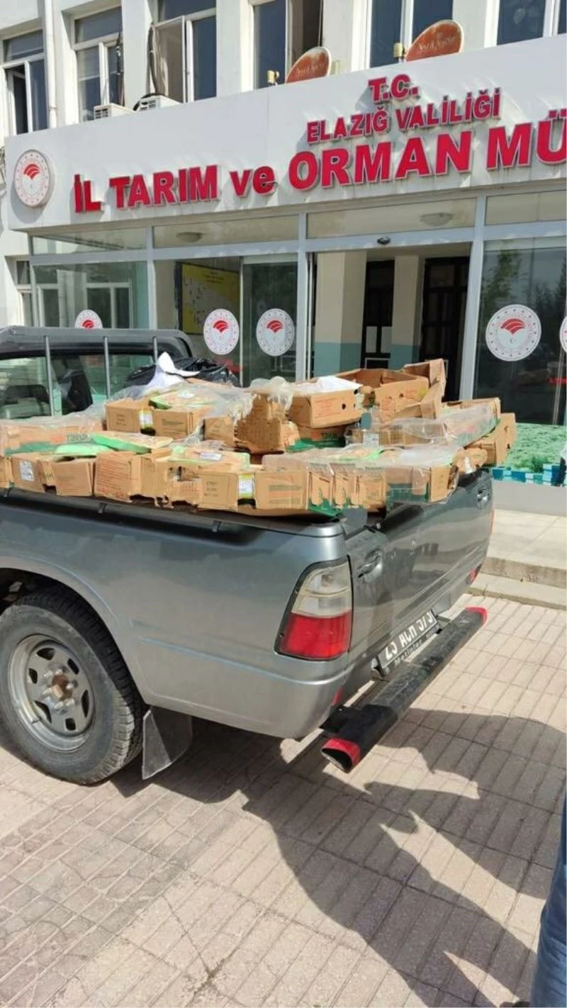Elazığ’da son kullanma tarihi geçmiş gıdalar imha edildi
