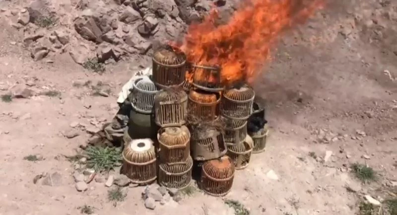 Kaçak avcıların kafesleri yakılarak imha edildi
