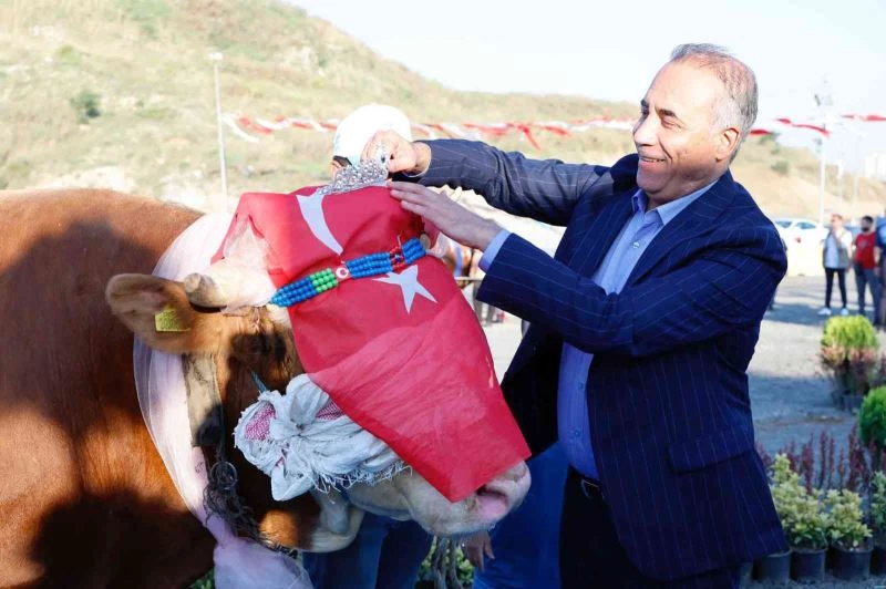 Sultangazi’de kurbanlıklar yarıştı, birinciye tam altın hediye edildi
