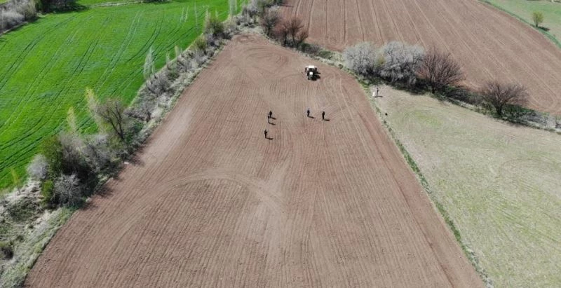 TMO hububat alım fiyatları güncellendi
