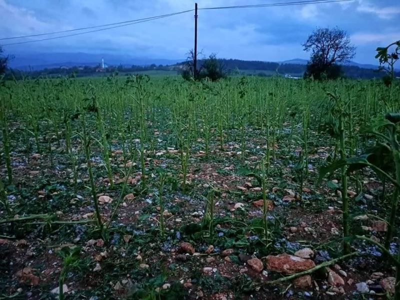 Göynük’te sel ve dolu hayatı olumsuz etkiledi
