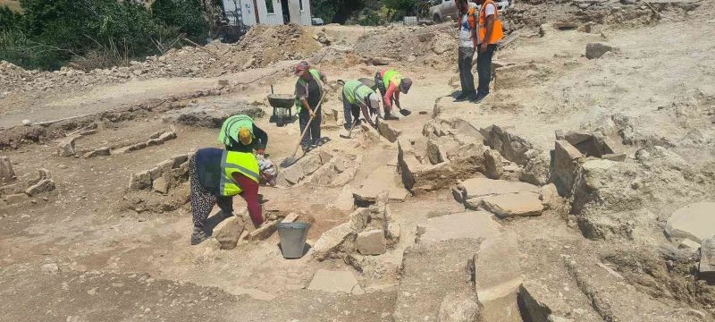 Kapatılan maden sahalarına 22 bin 100 zeytin ağacı dikildi
