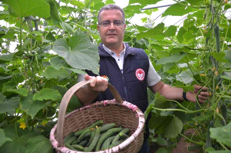 Karadeniz’de seracılık sektörü, verilen destekler ile büyüyor
