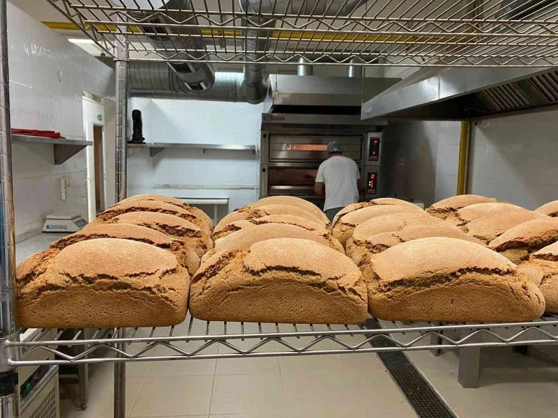 Karakılçık hem üreticinin hem tüketicinin yüzünü güldürdü
