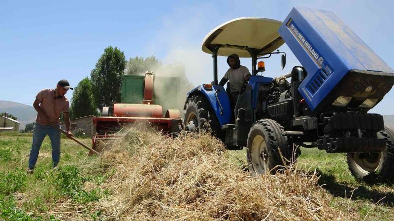 Çiftçilerin Muş Ovası’nda 38 derece sıcakta zorlu patoz mesaisi
