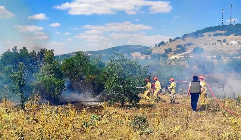 15 dekarlık ormanlık alan küle döndü
