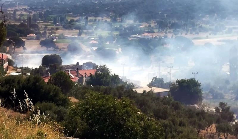 Milas’ta çıkan yangın panikletti
