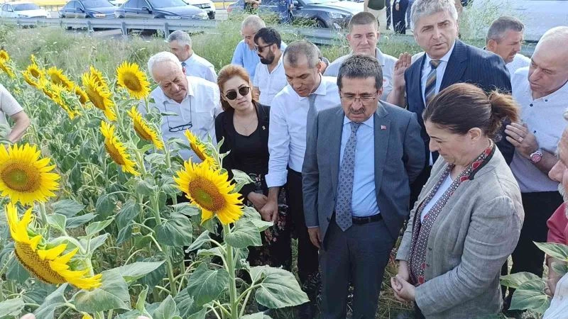 Tarım ve Orman Bakan Yardımcısı Pakdil: 