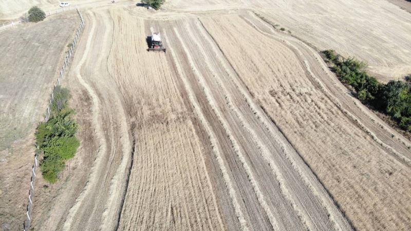 Kırklareli’de buğday hasadında sona gelindi, kurak bölgelerde verim düştü
