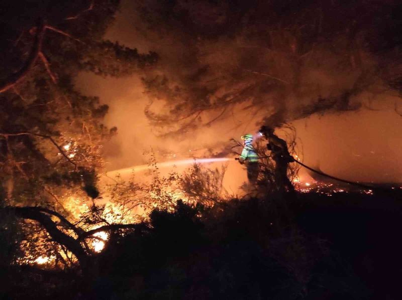 İspanya’daki orman yangınında alevlerden koşarak kurtuldu
