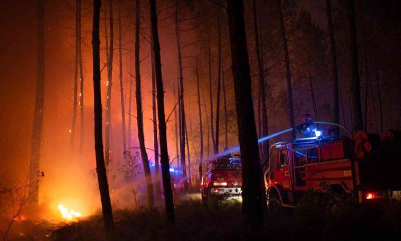 Fransa’daki orman yangınlarında 19 bin 300 hektar alan kül oldu
