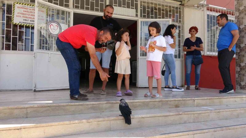 Okul bahçesinde sıcaktan bayılan karga, kendine gelince öğrenci kayıt sırasına girdi
