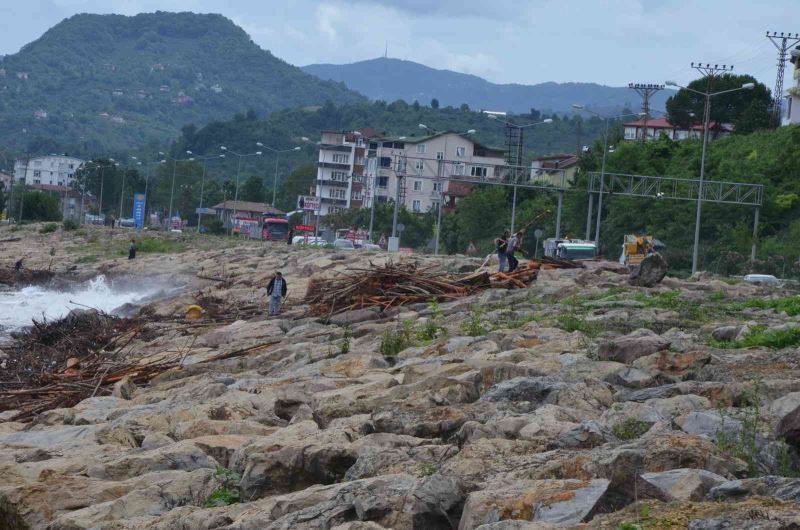 Sel sonrası kıyıya vuran odunlar, vatandaşlar tarafından toplanıyor
