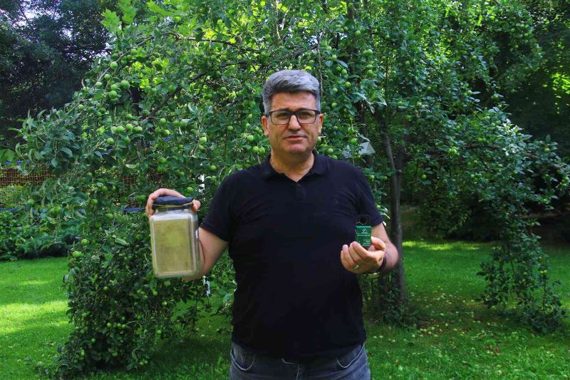 Bitki koruma profesörü, çayır tırtılı zararlısına karşı çözüm yolu üretti
