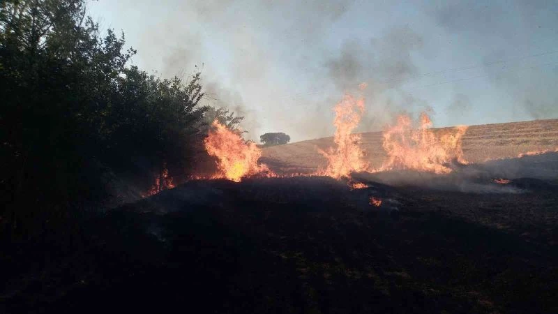 Elektrik tellerinden sıçrayan kıvılcım 100 dönüm anızı küle çevirdi
