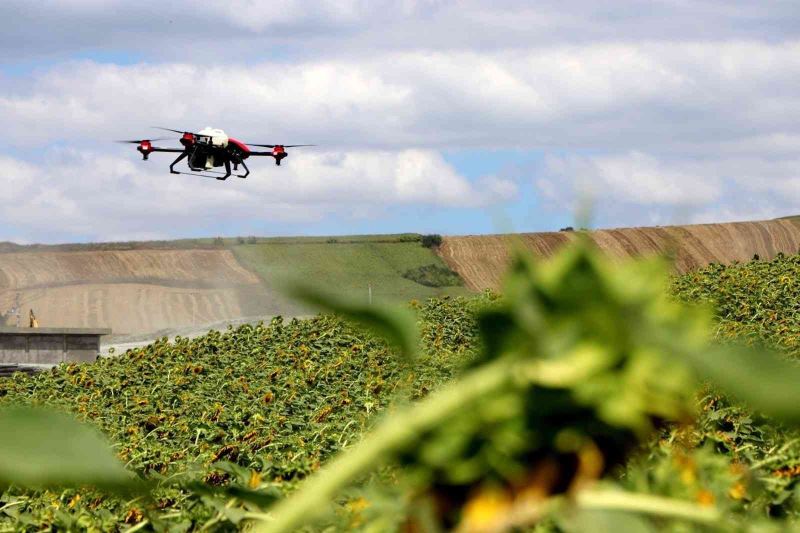 Yalova’da çayır tırtılı ile dronlu mücadele
