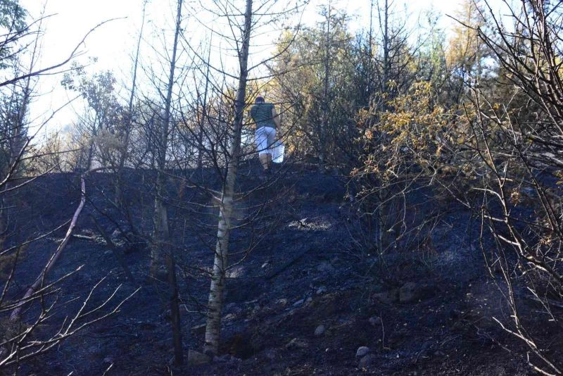 Kocaeli’de ormanlık alanda çıkan yangın güçlükle söndürüldü
